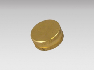 Hose Cap