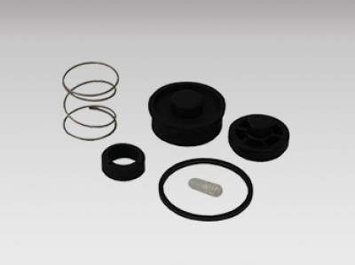 Delany Rebuild Kit