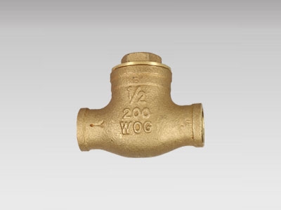 Swing Check Valve CxC